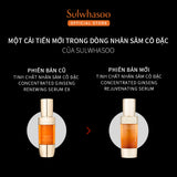 Tinh Chất Nhân Sâm Cô Đặc Dưỡng Da Săn Chắc - Sulwhasoo Concentrated Ginseng Rejuvenating Serum 50ML