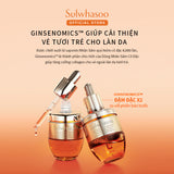Sulwhasoo Concentrated Ginseng Rejuvenating Ampoule 20G