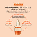 Tinh Chất Cô Đặc Nhân Sâm Giải Cứu Da - Sulwhasoo Concentrated Ginseng Rejuvenating Ampoule 20G