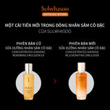 Sữa Dưỡng Nhân Sâm Ngăn Ngừa Lão Hóa - Sulwhasoo Concentrated Ginseng Rejuvenating Emulsion 125ml