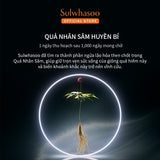 Sulwhasoo The Ultimate S Cream 60ml