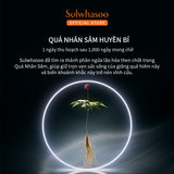 Sulwhasoo The Ultimate S Eye Cream 20ML