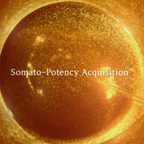 Sulwhasoo Timetreasure Honorstige Cream