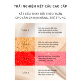 Bộ Tinh Chất 4 Tuần Tái Thiết Chuyên Sâu Sulwhasoo The Ultimate S Infusion Treatment 15mlx4