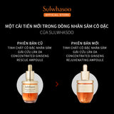 Sulwhasoo Concentrated Ginseng Rejuvenating Ampoule 20G