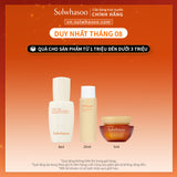 Kem Chống Nắng Hằng Ngày Dưỡng Sáng Nâng Tông Sulwhasoo Daily Toneup Sunscreen