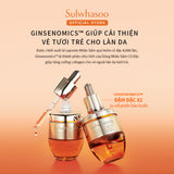 Sulwhasoo Concentrated Ginseng Rejuvenating Ampoule 20G