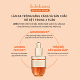 Sulwhasoo Concentrated Ginseng Rejuvenating Ampoule 20G