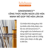 Sulwhasoo Concentrated Ginseng Rescue Ampoule 20G