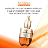 Sulwhasoo Concentrated Ginseng Rescue Ampoule 20G