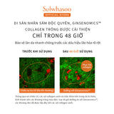 Tinh Chất Nhân Sâm Cải Thiện Nếp Nhăn, Săn Chắc Da - Sulwhasoo Concentrated Ginseng Renewing Serum EX 15ML
