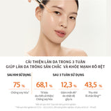 Sulwhasoo Concentrated Ginseng Rejuvenating Ampoule 20G