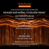 Sulwhasoo Concentrated Ginseng Rejuvenating Cream Rich 50ML