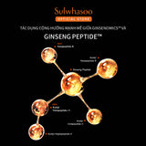 Sulwhasoo Concentrated Ginseng Rejuvenating Cream Rich 30ML